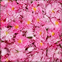 Why we love it - Damascus Rose Petals