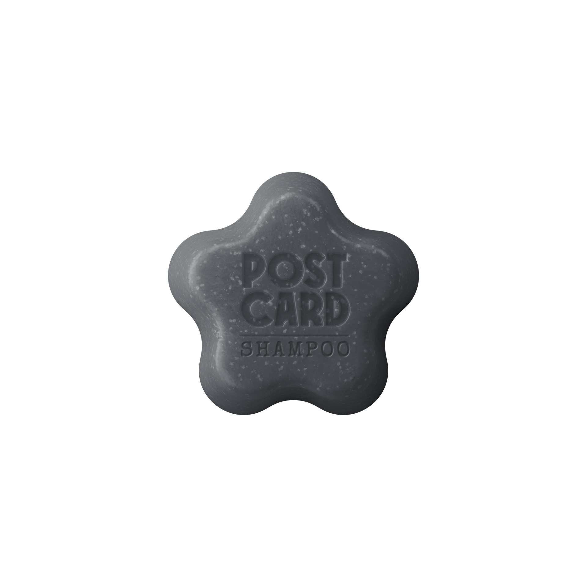 Stop Oil in its Tracks The Best Shampoo for Oily Scalp