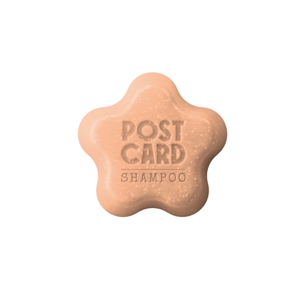 Citrus Circus Solid Shampoo Bar 