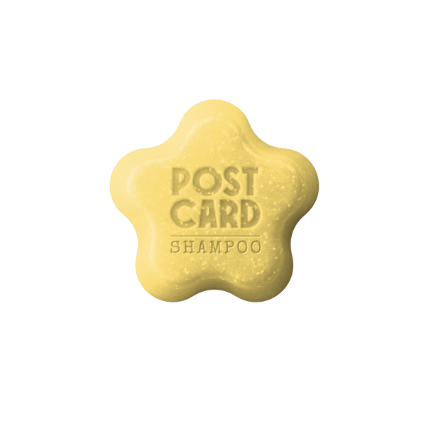 Coconut Beach Solid Shampoo Bar