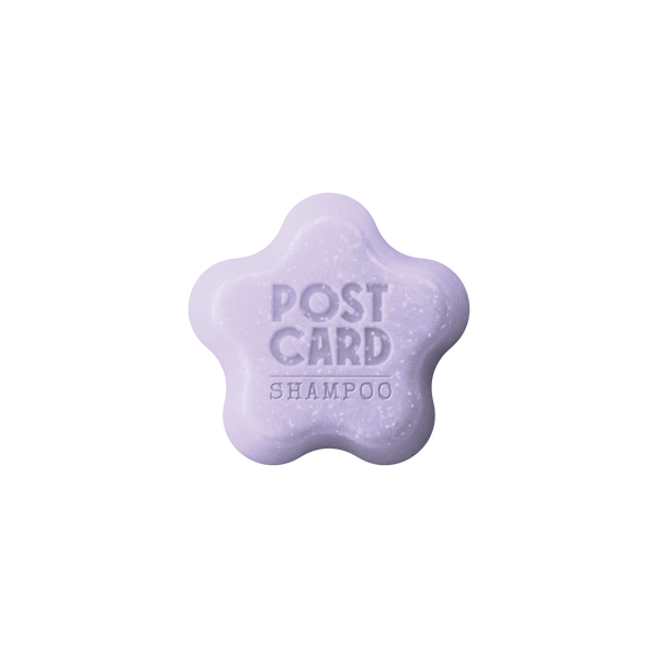 Grooming Room Solid Shampoo