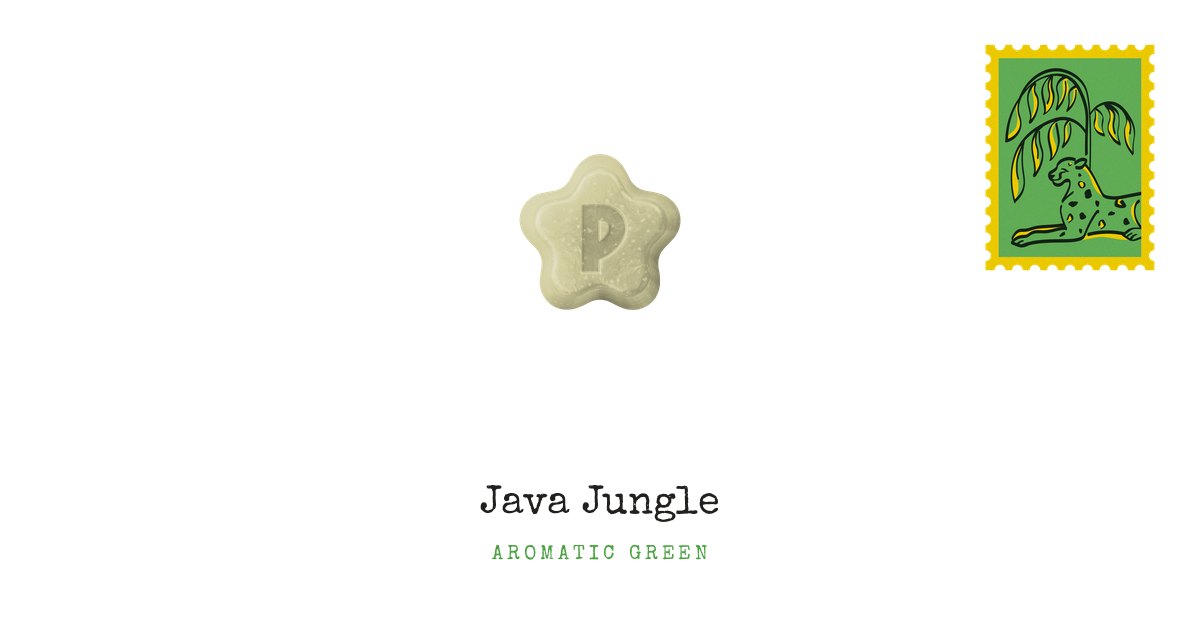 Champoo Fruit Java Java Jungle Shampoo Bar Mini – Postcard